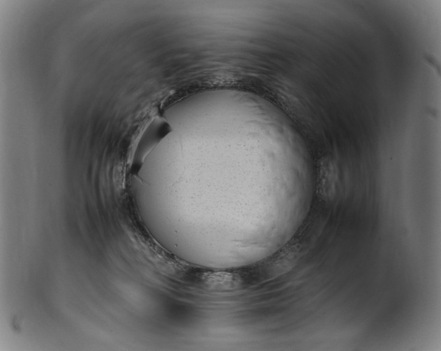 X0000101220230200807111104