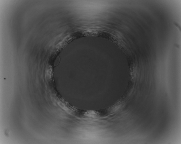 X0000101220231200807111104