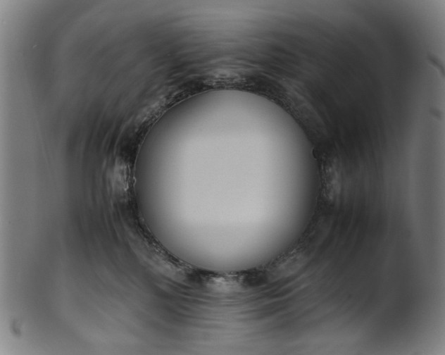 X0000101220232200807111104
