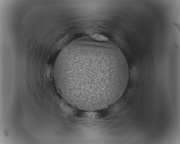 X0000101220233200807111104