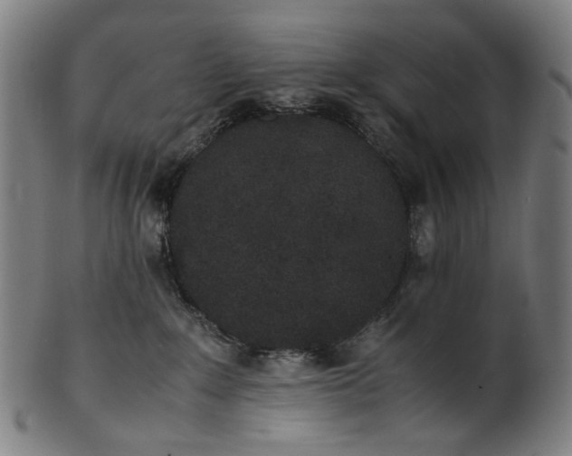 X0000101220235200807111104