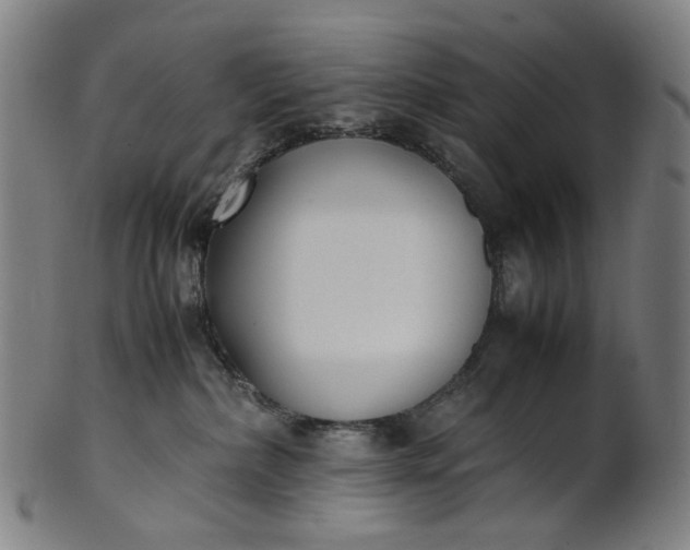 X0000101220236200807111104