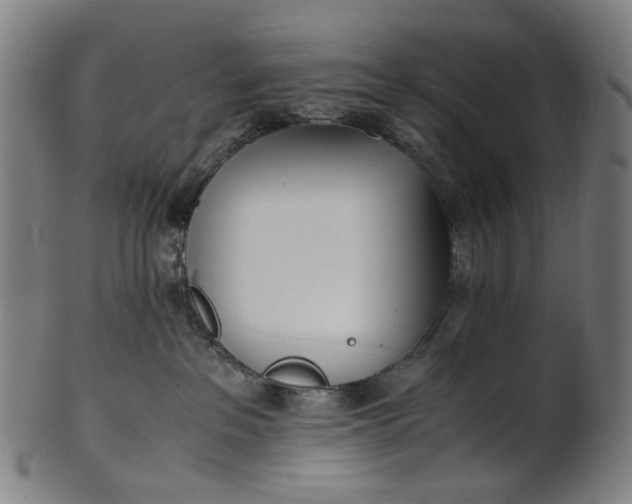 X0000101220237200807111104