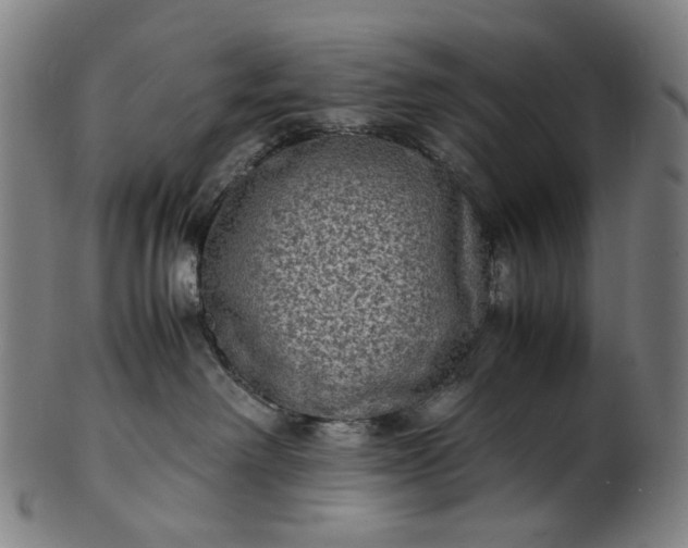 X0000101220238200807111104