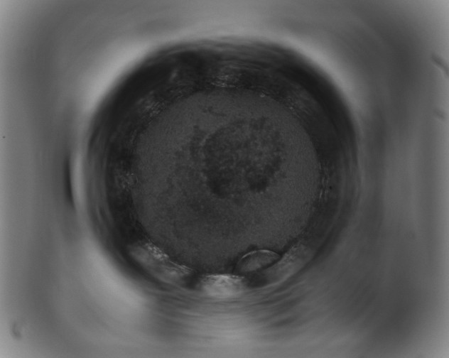 X0000101220239200807111104