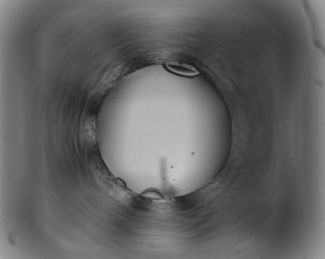 X0000101220240200807111104