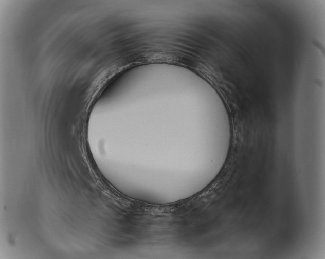 X0000101220241200807111103