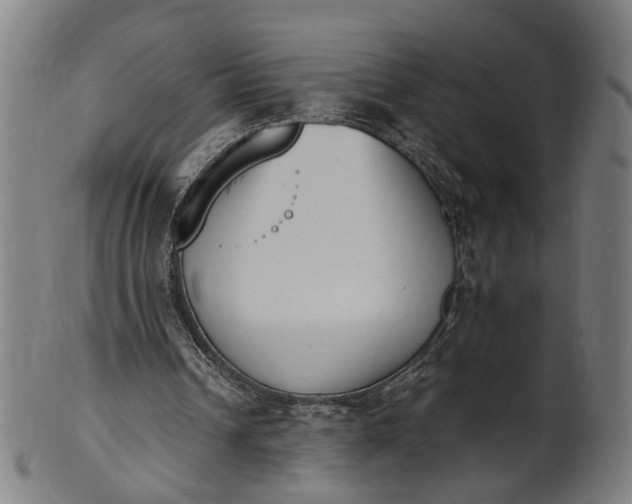 X0000101220242200807111103