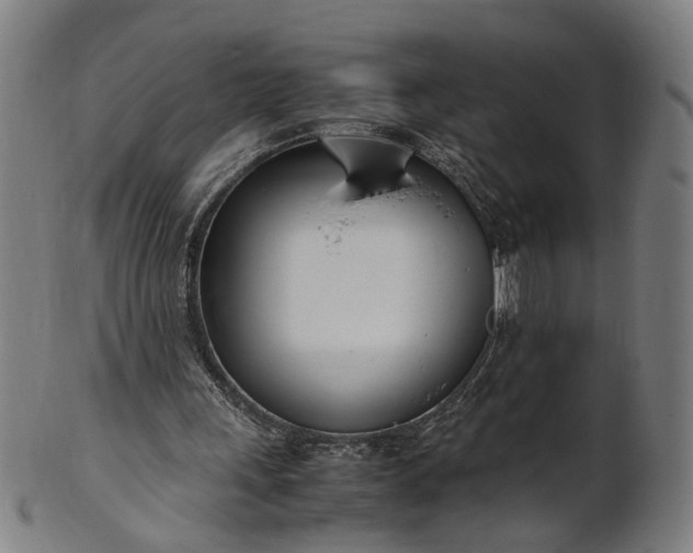 X0000101220243200807111103