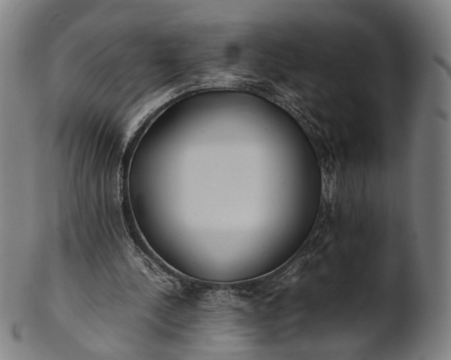 X0000101220244200807111103