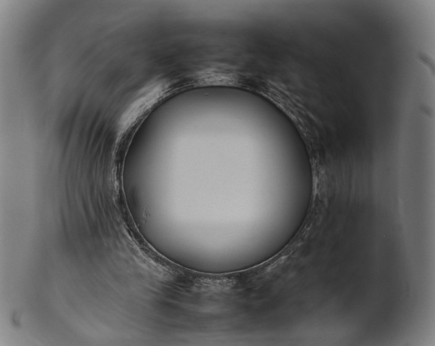X0000101220245200807111103