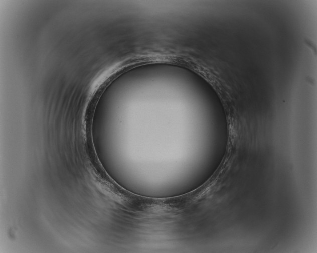 X0000101220246200807111103