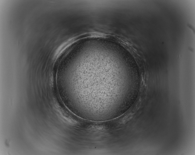 X0000101220247200807111103