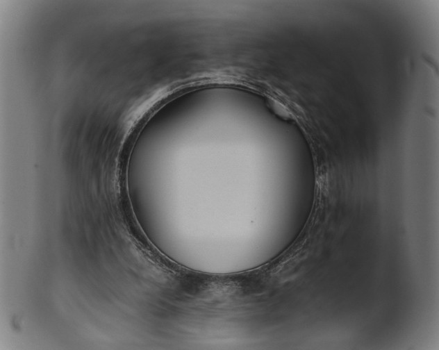 X0000101220248200807111103