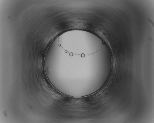 X0000101220249200807111103