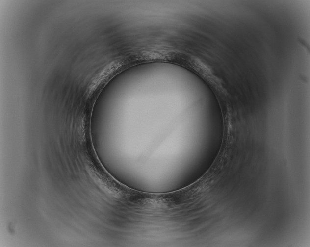X0000101220250200807111103