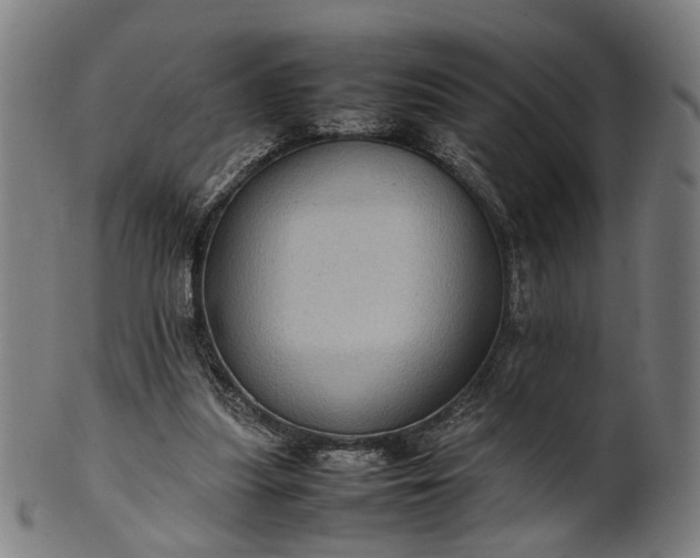 X0000101220251200807111103