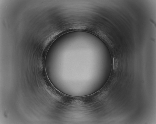 X0000101220252200807111103