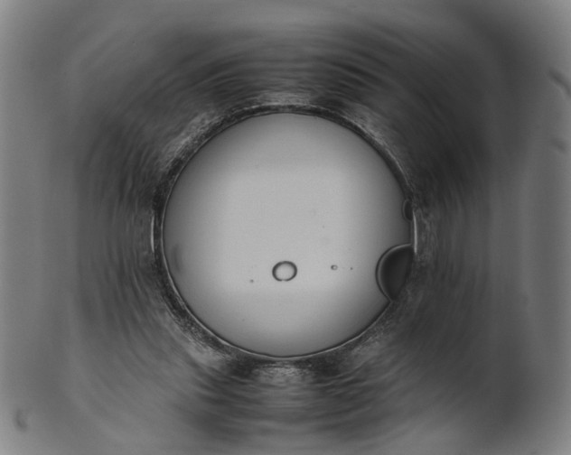 X0000101220253200807111103