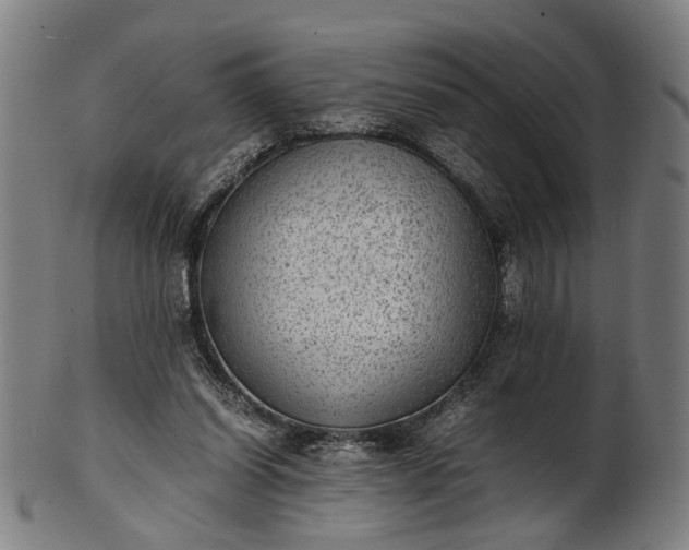 X0000101220254200807111103