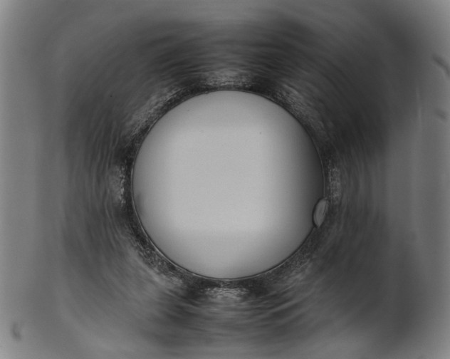 X0000101220255200807111103