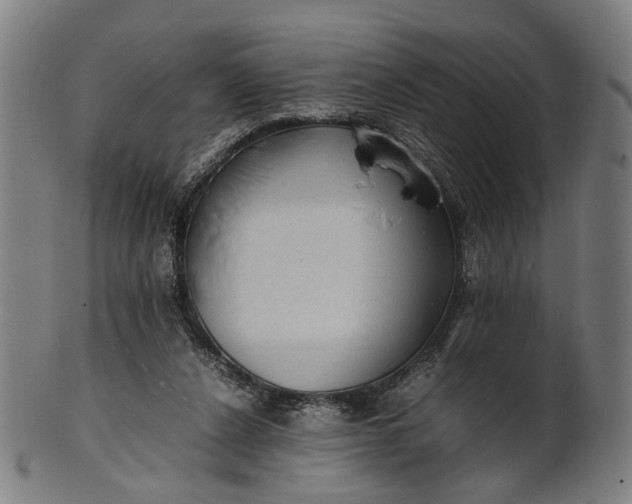 X0000101220256200807111103