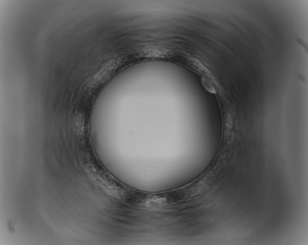 X0000101220257200807111103