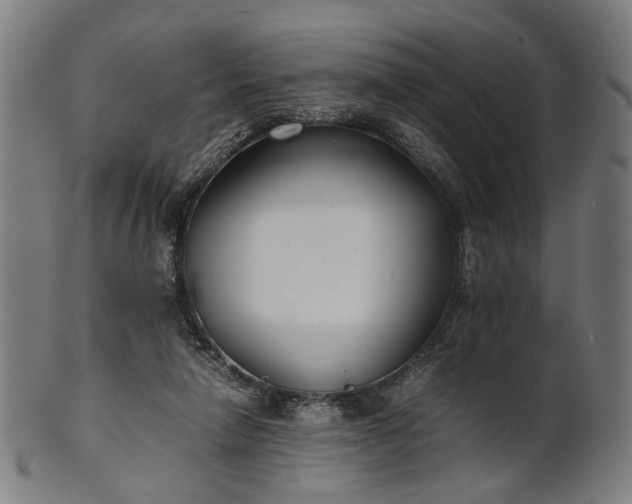 X0000101220258200807111103