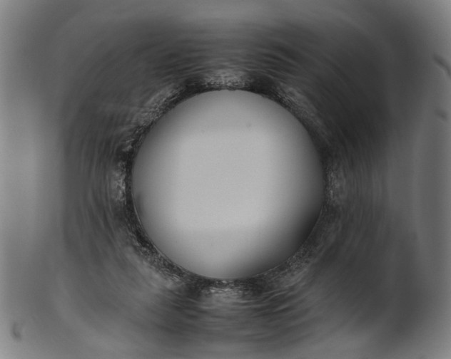 X0000101220259200807111103