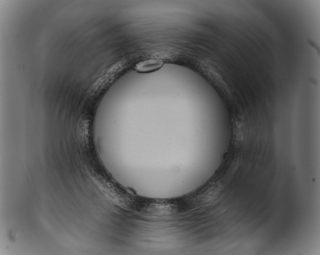 X0000101220260200807111103