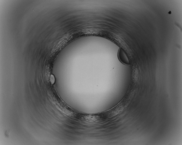 X0000101220261200807111103