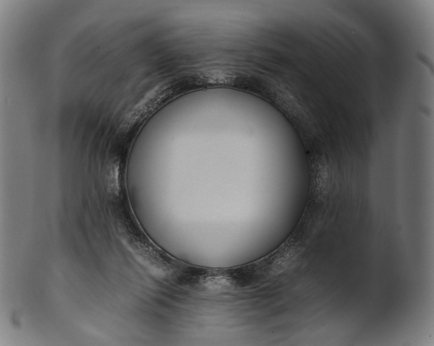 X0000101220262200807111103