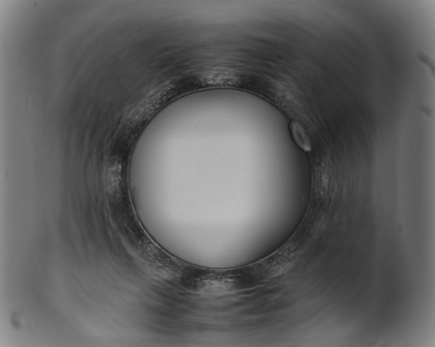 X0000101220263200807111103