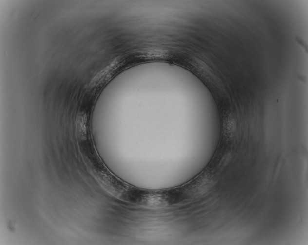 X0000101220264200807111103