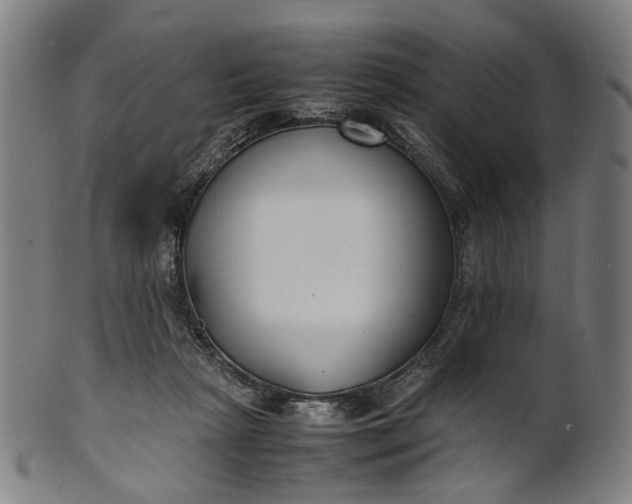 X0000101220265200807111103