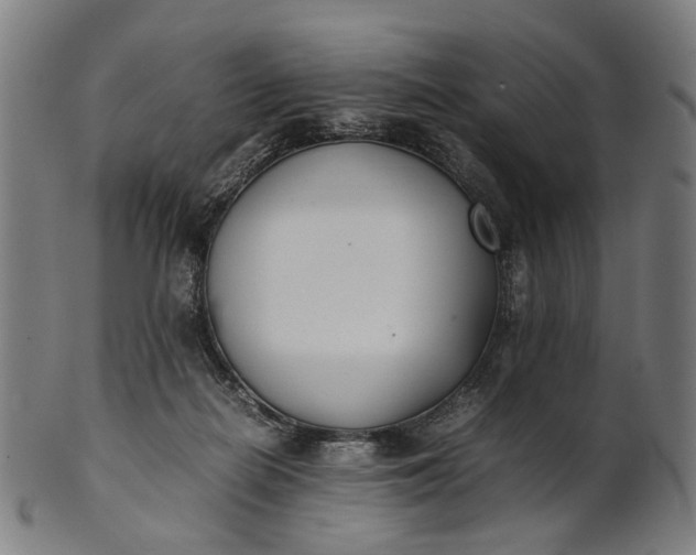 X0000101220266200807111103