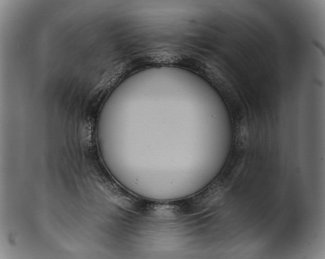 X0000101220268200807111104