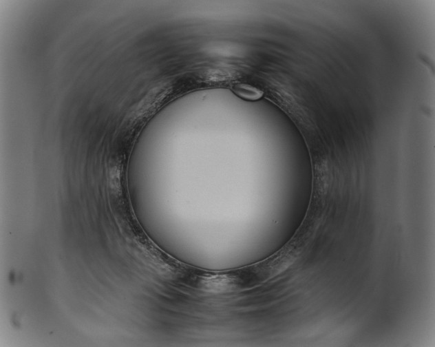 X0000101220269200807111104