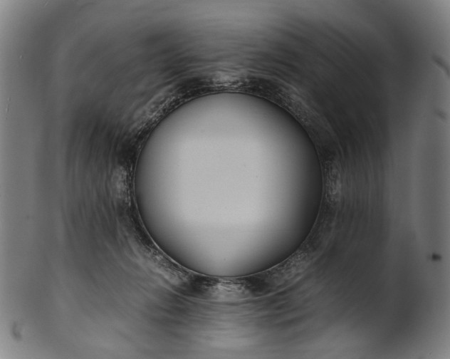 X0000101220270200807111104