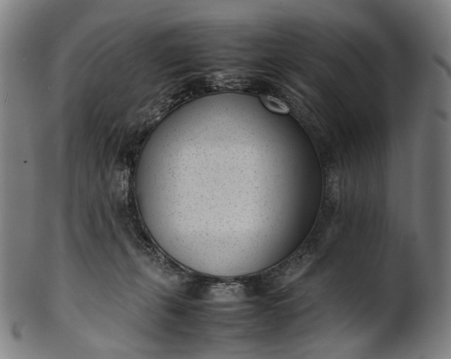 X0000101220271200807111104