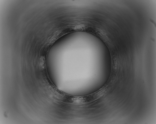 X0000101220273200807111104