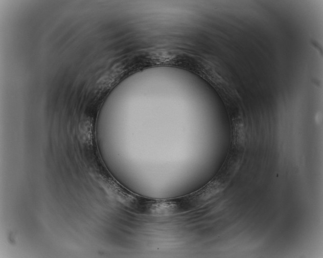 X0000101220274200807111104