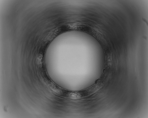 X0000101220275200807111104