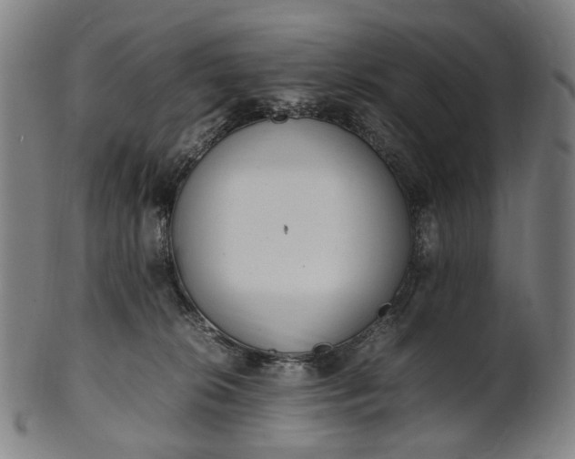 X0000101220276200807111104