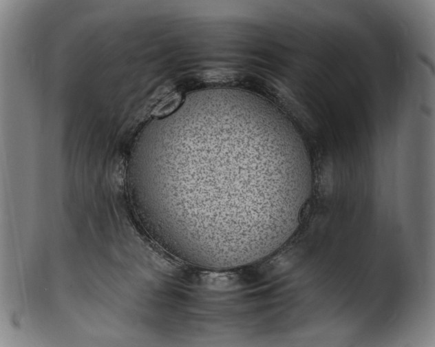 X0000101220277200807111104