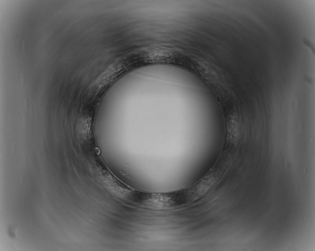 X0000101220278200807111104