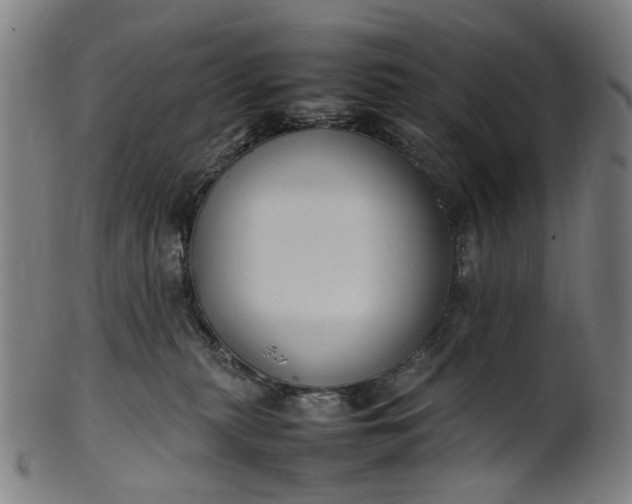 X0000101220279200807111104