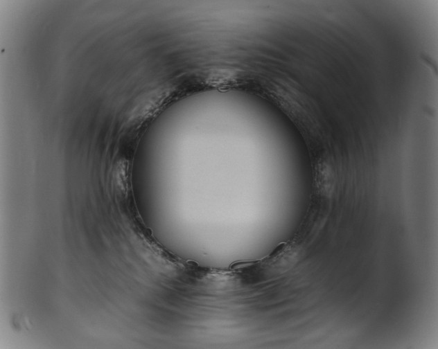 X0000101220280200807111104