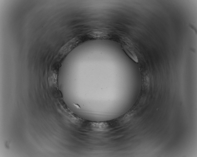 X0000101220281200807111104