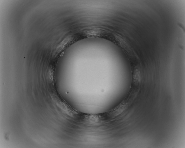 X0000101220282200807111104